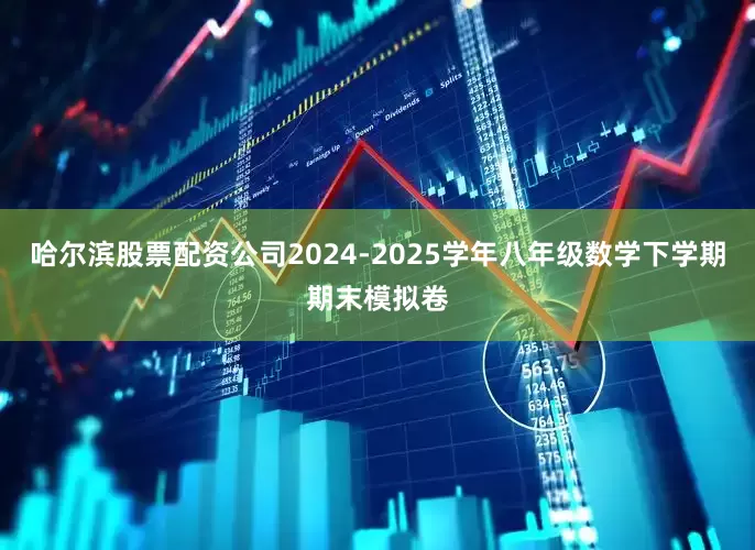 哈尔滨股票配资公司2024-2025学年八年级数学下学期期末模拟卷