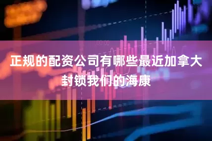 正规的配资公司有哪些最近加拿大封锁我们的海康