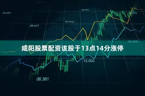 咸阳股票配资该股于13点14分涨停