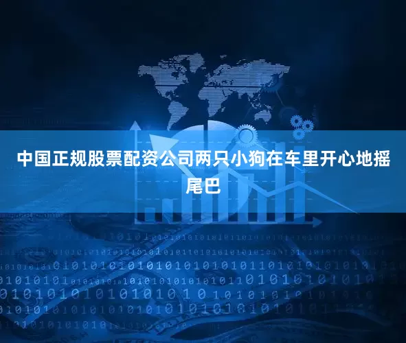 中国正规股票配资公司两只小狗在车里开心地摇尾巴